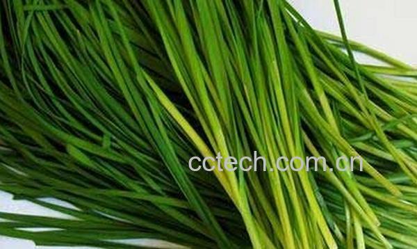 果蔬百科乙肝可以吃韭菜吗-0