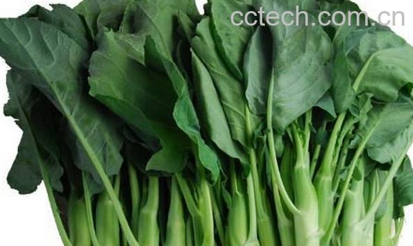 果蔬百科芥蓝-0