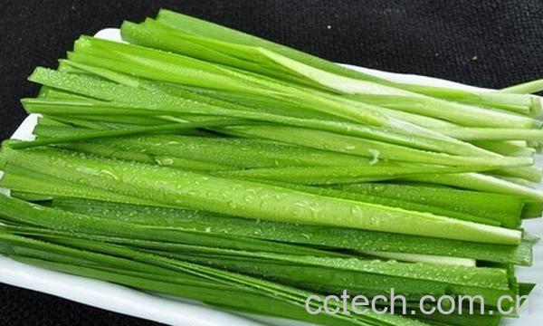 果蔬百科有胃病可以吃韭菜吗-0