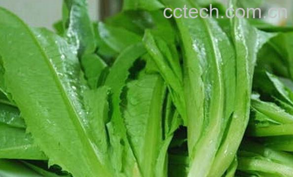果蔬百科莴笋叶-0
