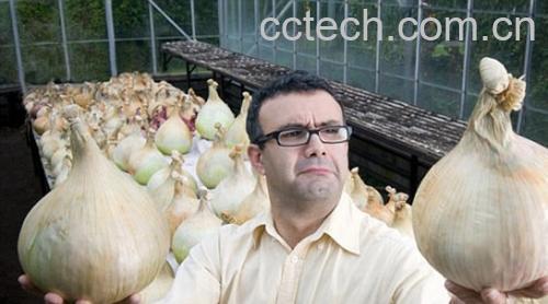 果蔬百科洋葱-0