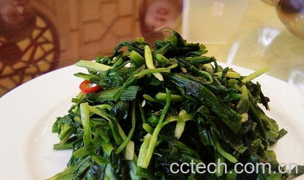 果蔬百科腌韭菜-0