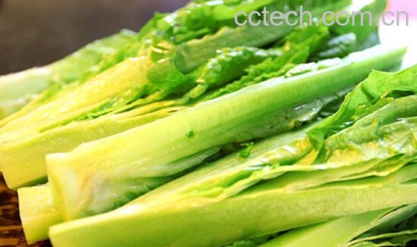 果蔬百科莴笋尖-0