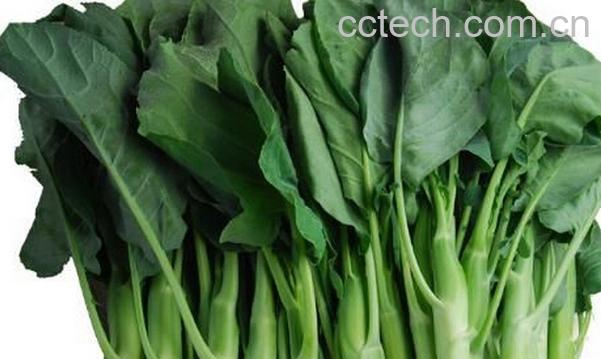 果蔬百科芥蓝菜的药用价值-0