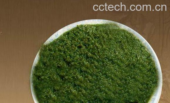 果蔬百科腌制韭菜花酱-0