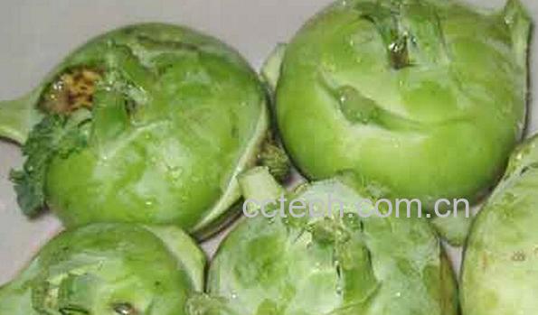 果蔬百科芥蓝头-0