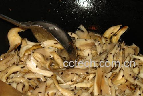 果蔬百科孜然蘑菇-0