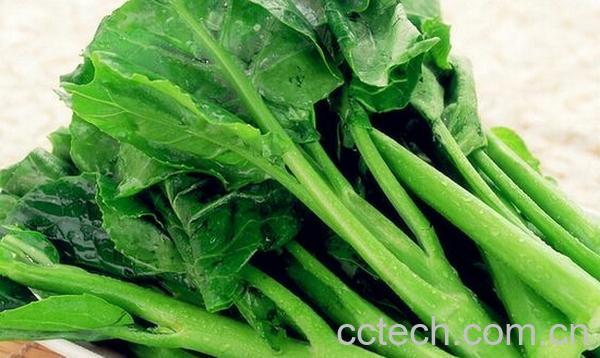 果蔬百科孕妇能吃芥蓝吗-0