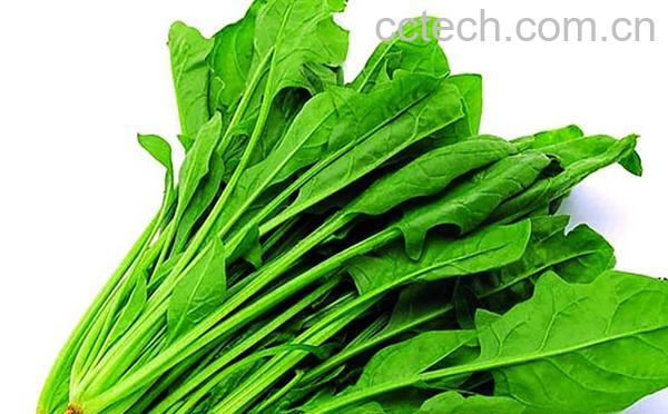 果蔬百科菠菜的营养成分-0