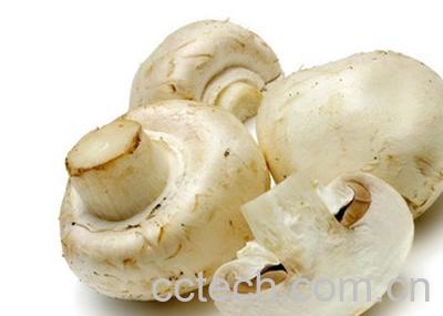 果蔬百科蘑菇-0