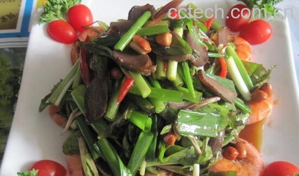 果蔬百科特色凉菜-0