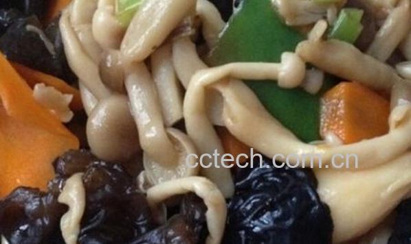 果蔬百科蘑菇和木耳能一起吃-0