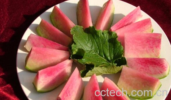 果蔬百科青皮红心萝卜-0