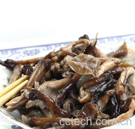 果蔬百科榛蘑菇-0