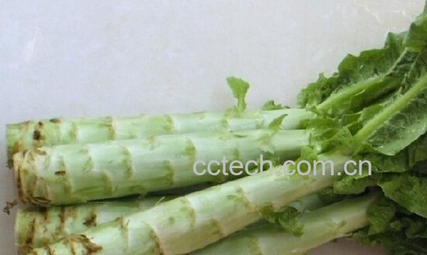 果蔬百科生吃莴笋-0