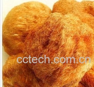 果蔬百科榛蘑菇-0