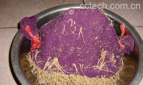 果蔬百科沙子发豆牙-0