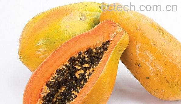果蔬百科木瓜怎么催熟-0