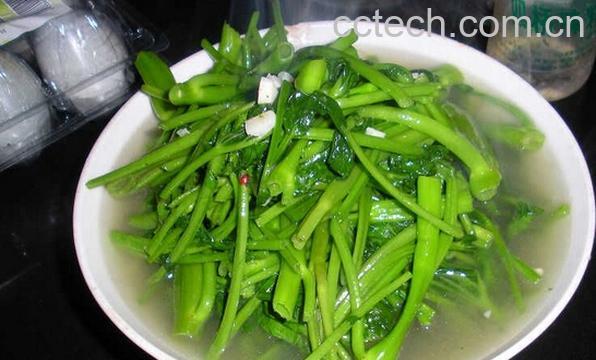 果蔬百科水煮空心菜-0