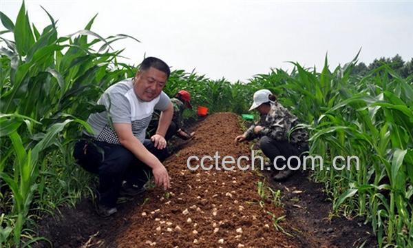 果蔬百科蘑菇-0