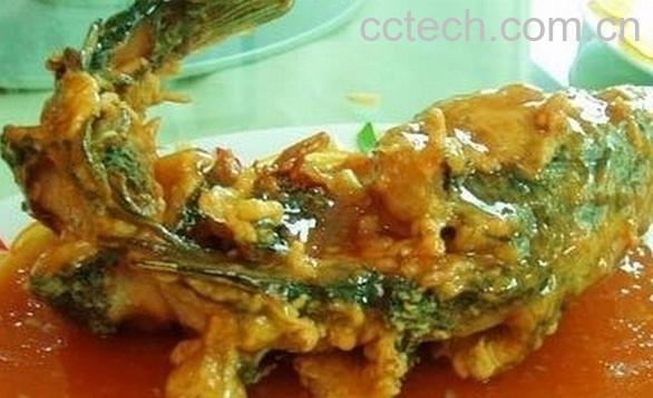 果蔬百科山东菜-0