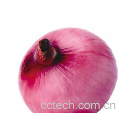 果蔬百科紫洋葱-0