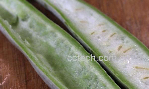 果蔬百科蛇豆角-0