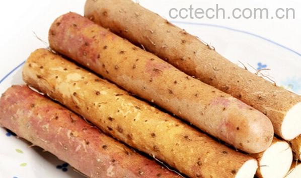 果蔬百科山药-0