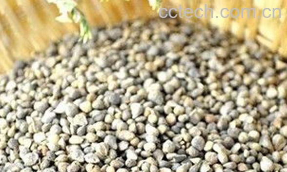 果蔬百科菠菜籽-0