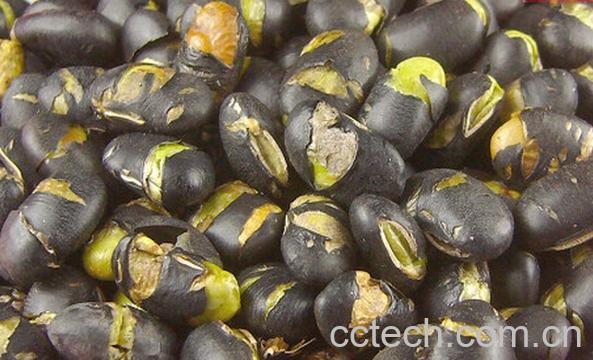 果蔬百科炒黑豆-0