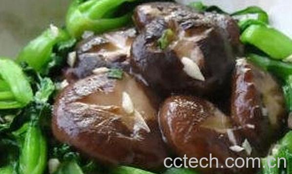 果蔬百科香菇青菜-0