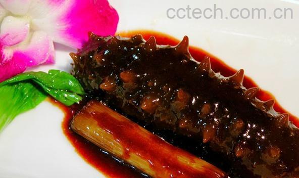 果蔬百科葱烧海参-0