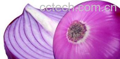 果蔬百科紫洋葱-0