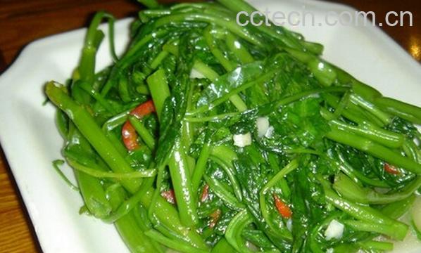 果蔬百科炒空心菜-0