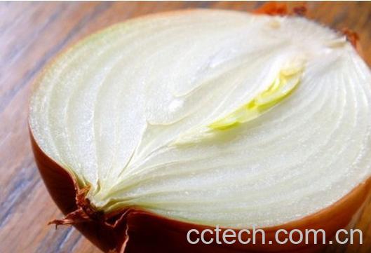 果蔬百科洋葱-0