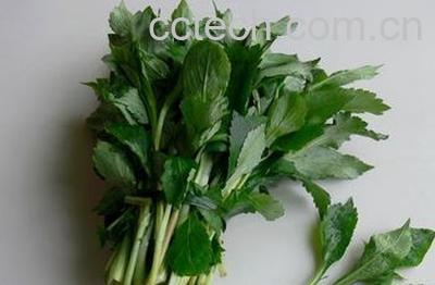 果蔬百科野菜婆婆丁-0