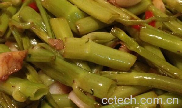 果蔬百科空心菜梗-0