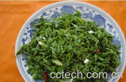 果蔬百科灰灰菜-0