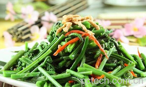 果蔬百科山野菜-0