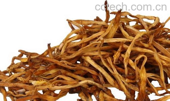 果蔬百科黄花菜-0