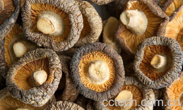 果蔬百科香菇-0