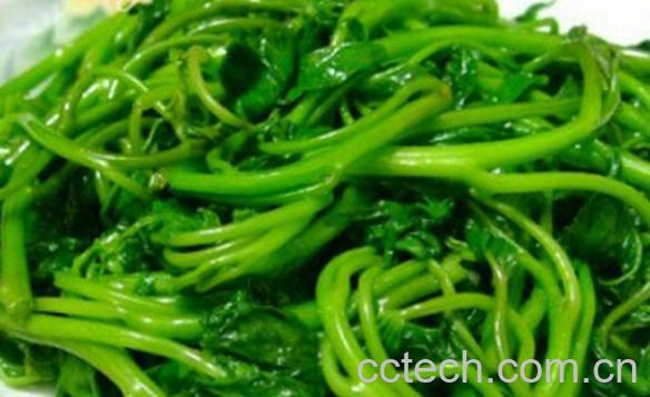 果蔬百科清炒空心菜-0