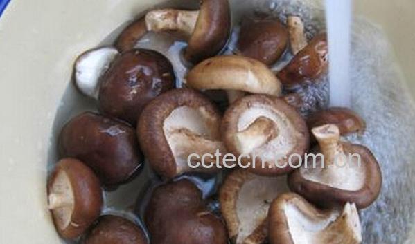 果蔬百科香菇怎样清洗-0