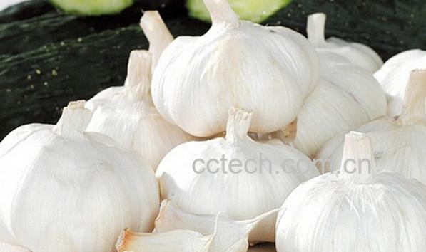 果蔬百科大蒜味怎么去除-0