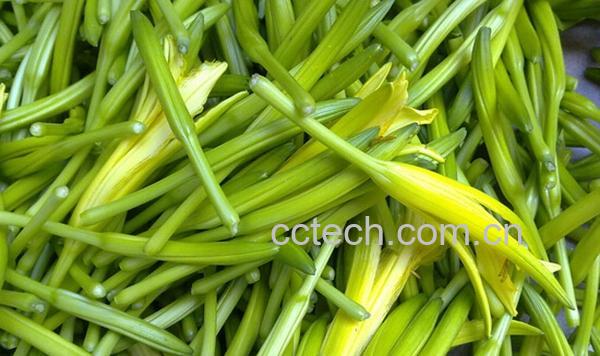 果蔬百科新鲜黄花菜-0