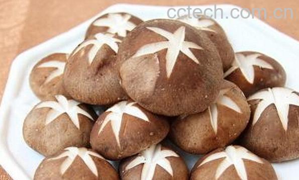 果蔬百科香菇-0