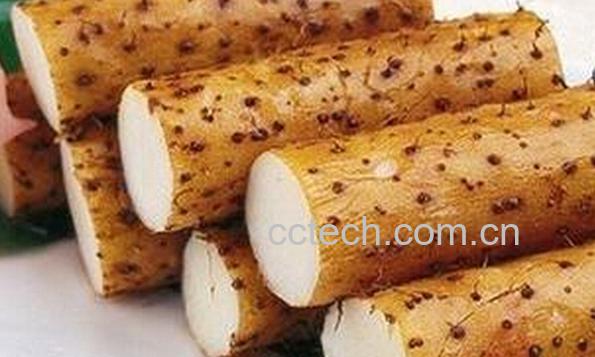 果蔬百科山药-0