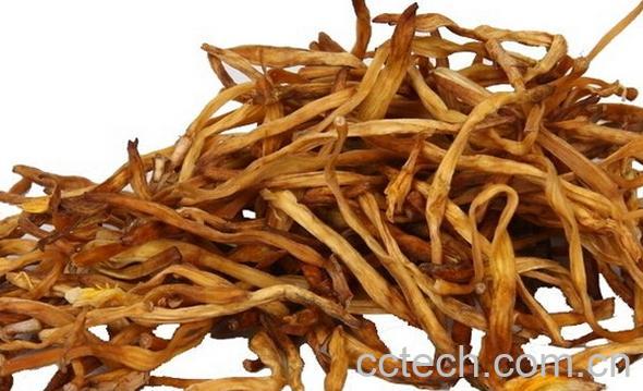 果蔬百科黄花菜-0