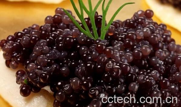 果蔬百科鱼子酱-0