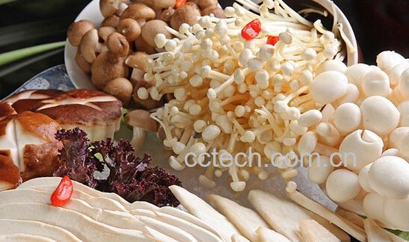 果蔬百科菌菇-0